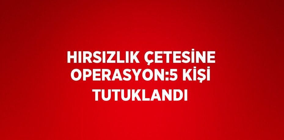 HIRSIZLIK ÇETESİNE OPERASYON:5 KİŞİ TUTUKLANDI