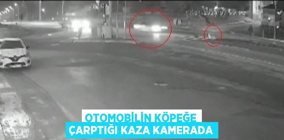 OTOMOBİLİN KÖPEĞE ÇARPTIĞI KAZA KAMERADA