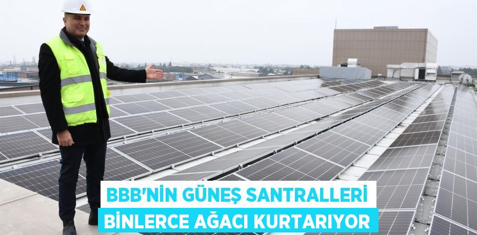 BBB’nin Güneş Santralleri binlerce ağacı kurtarıyor