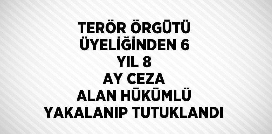 TERÖR ÖRGÜTÜ ÜYELİĞİNDEN 6 YIL 8 AY CEZA ALAN HÜKÜMLÜ YAKALANIP TUTUKLANDI