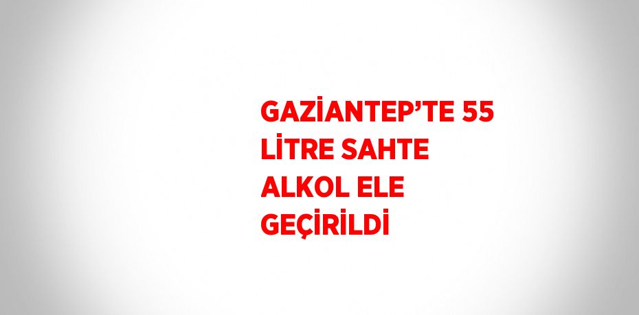 GAZİANTEP’TE 55 LİTRE SAHTE ALKOL ELE GEÇİRİLDİ