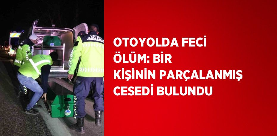 OTOYOLDA FECİ ÖLÜM: BİR KİŞİNİN PARÇALANMIŞ CESEDİ BULUNDU