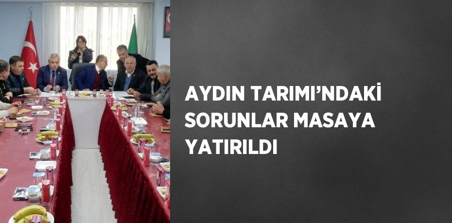 AYDIN TARIMI’NDAKİ SORUNLAR MASAYA YATIRILDI