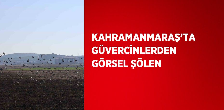 KAHRAMANMARAŞ’TA GÜVERCİNLERDEN GÖRSEL ŞÖLEN