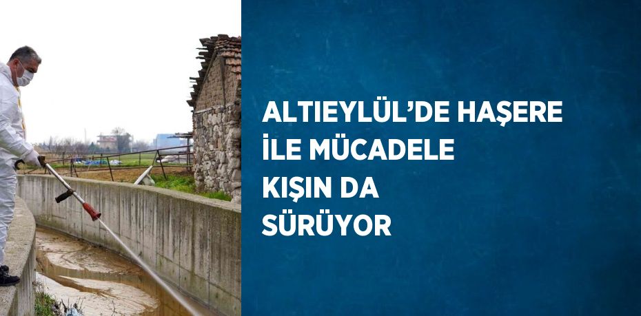 ALTIEYLÜL’DE HAŞERE İLE MÜCADELE KIŞIN DA SÜRÜYOR