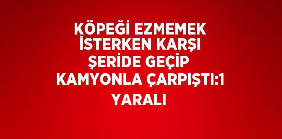 KÖPEĞİ EZMEMEK İSTERKEN KARŞI ŞERİDE GEÇİP KAMYONLA ÇARPIŞTI:1 YARALI