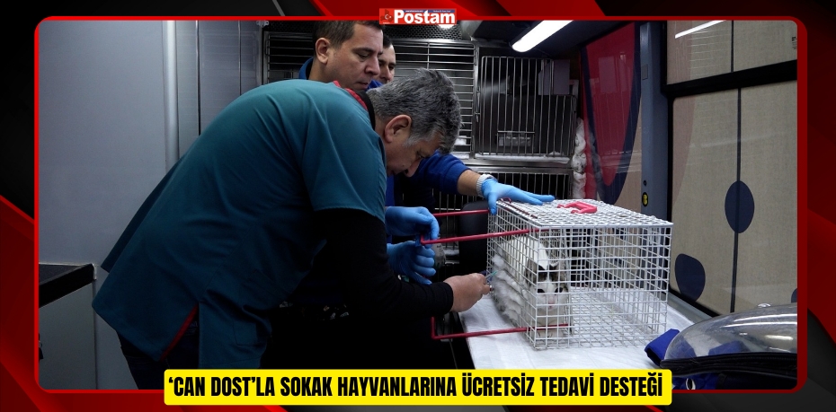 ‘CAN DOST’LA SOKAK HAYVANLARINA ÜCRETSİZ TEDAVİ DESTEĞİ