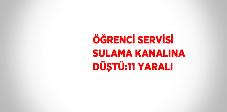 ÖĞRENCİ SERVİSİ SULAMA KANALINA DÜŞTÜ:11 YARALI