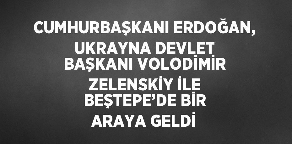 CUMHURBAŞKANI ERDOĞAN, UKRAYNA DEVLET BAŞKANI VOLODİMİR ZELENSKİY İLE BEŞTEPE’DE BİR ARAYA GELDİ