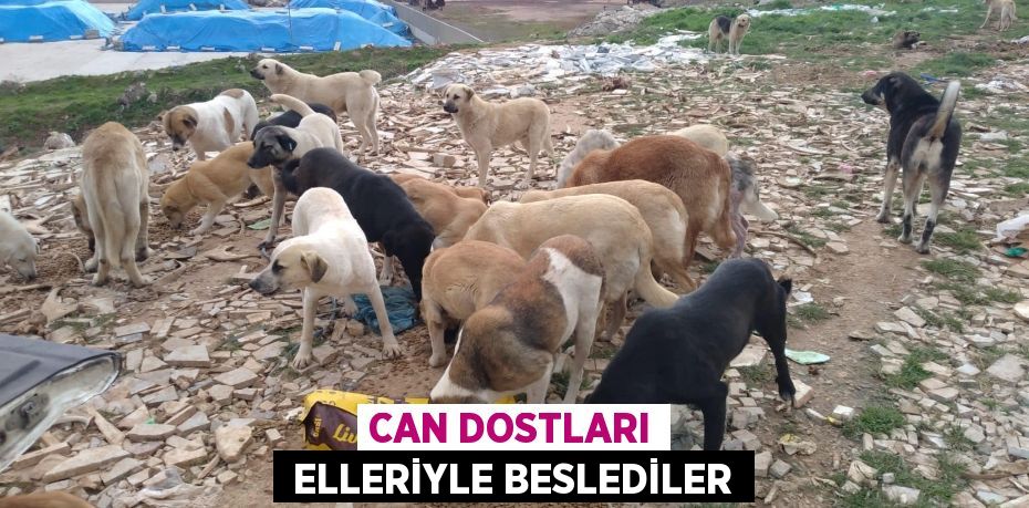 CAN DOSTLARI  ELLERİYLE BESLEDİLER