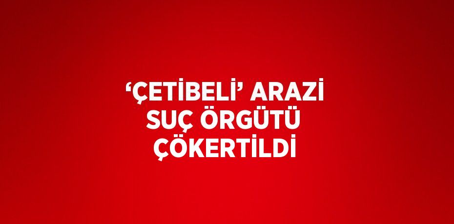 ‘ÇETİBELİ’ ARAZİ SUÇ ÖRGÜTÜ ÇÖKERTİLDİ