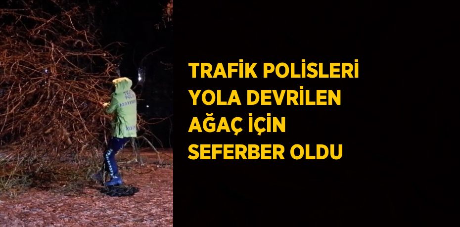 TRAFİK POLİSLERİ YOLA DEVRİLEN AĞAÇ İÇİN SEFERBER OLDU