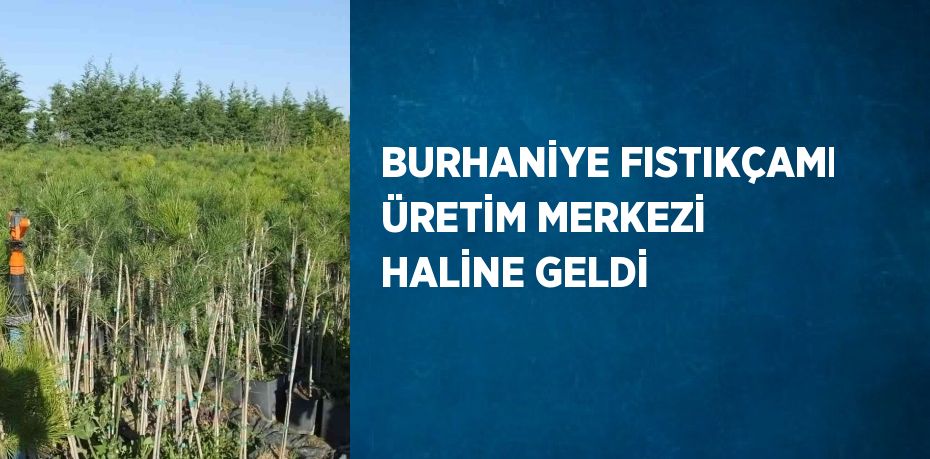 BURHANİYE FISTIKÇAMI ÜRETİM MERKEZİ HALİNE GELDİ