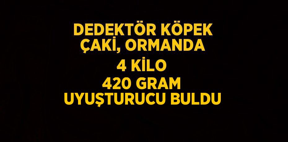 DEDEKTÖR KÖPEK ÇAKİ, ORMANDA 4 KİLO 420 GRAM UYUŞTURUCU BULDU