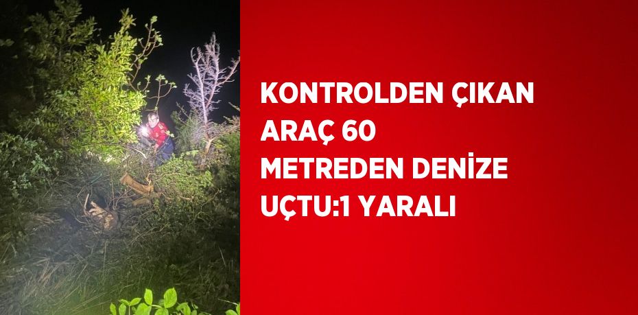 KONTROLDEN ÇIKAN ARAÇ 60 METREDEN DENİZE UÇTU:1 YARALI