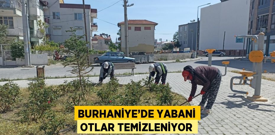 BURHANİYE’DE YABANİ OTLAR TEMİZLENİYOR