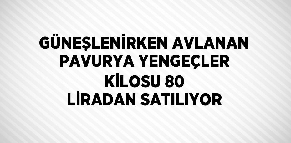 GÜNEŞLENİRKEN AVLANAN PAVURYA YENGEÇLER KİLOSU 80 LİRADAN SATILIYOR