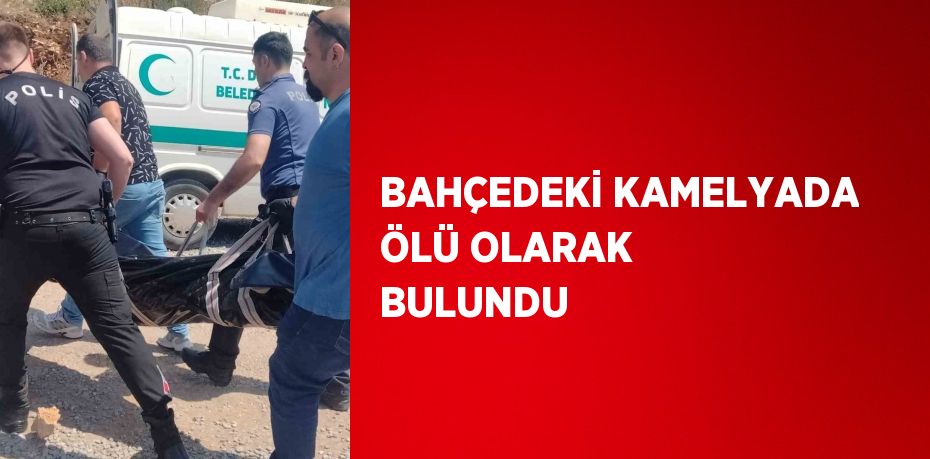 BAHÇEDEKİ KAMELYADA ÖLÜ OLARAK BULUNDU