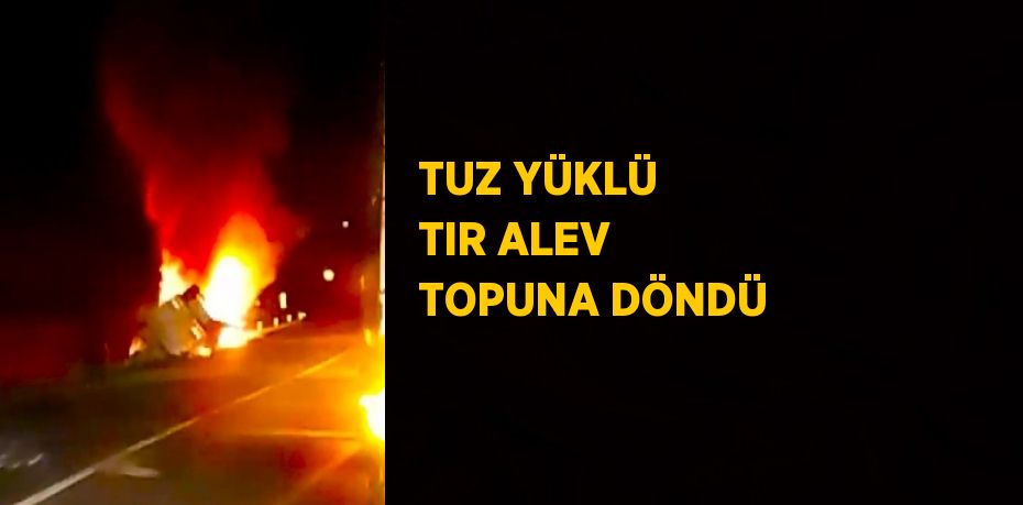 TUZ YÜKLÜ TIR ALEV TOPUNA DÖNDÜ