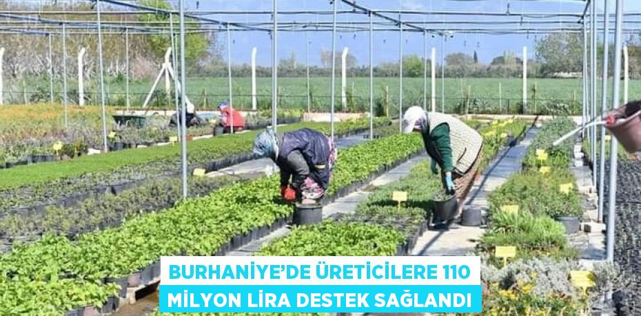 BURHANİYE’DE ÜRETİCİLERE 110 MİLYON LİRA DESTEK SAĞLANDI