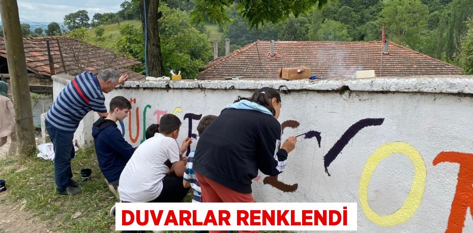 Duvarlar renklendi