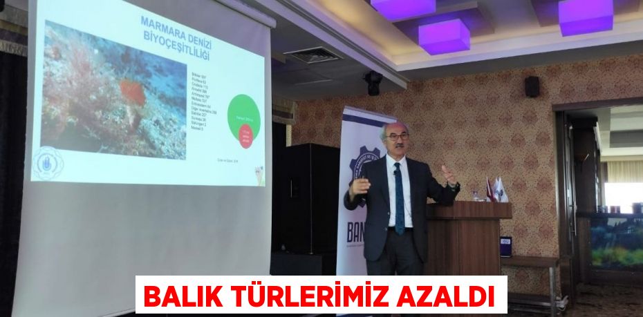 Balık türlerimiz azaldı