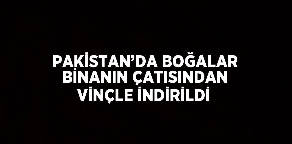 PAKİSTAN’DA BOĞALAR BİNANIN ÇATISINDAN VİNÇLE İNDİRİLDİ