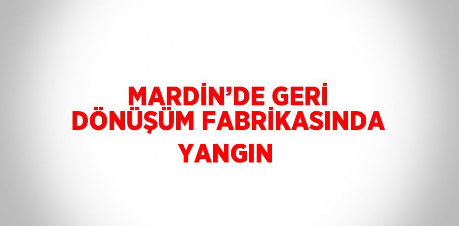 MARDİN’DE GERİ DÖNÜŞÜM FABRİKASINDA YANGIN