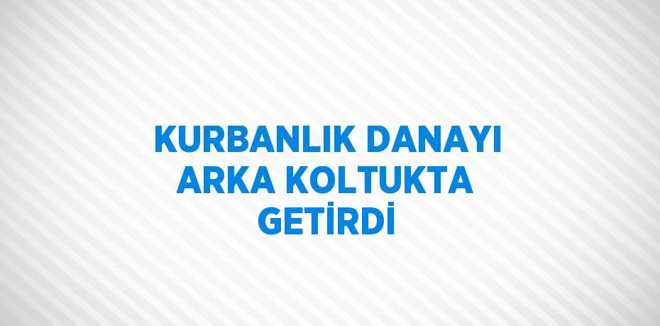 KURBANLIK DANAYI ARKA KOLTUKTA GETİRDİ