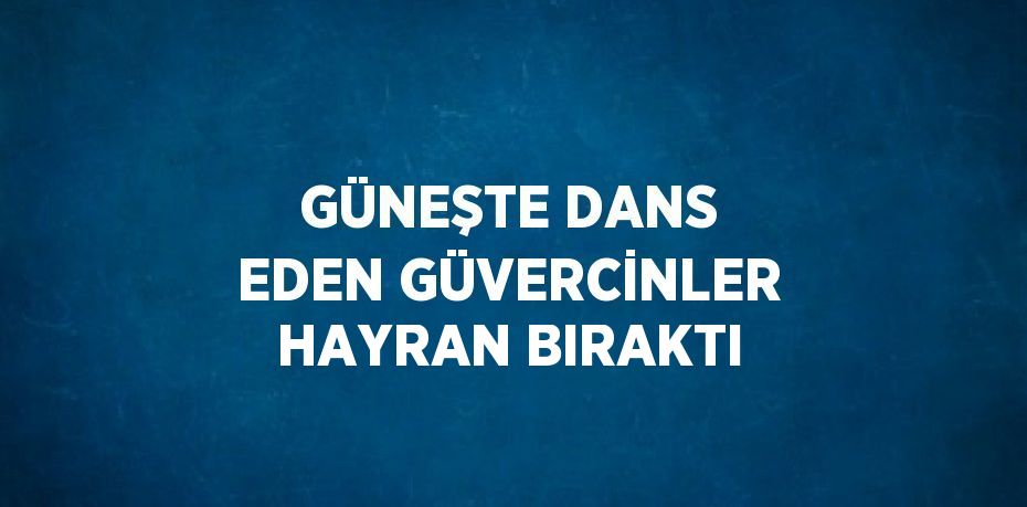 GÜNEŞTE DANS EDEN GÜVERCİNLER HAYRAN BIRAKTI