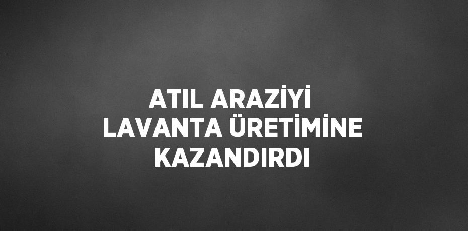 ATIL ARAZİYİ LAVANTA ÜRETİMİNE KAZANDIRDI