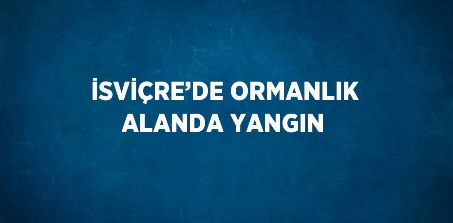 İSVİÇRE’DE ORMANLIK ALANDA YANGIN