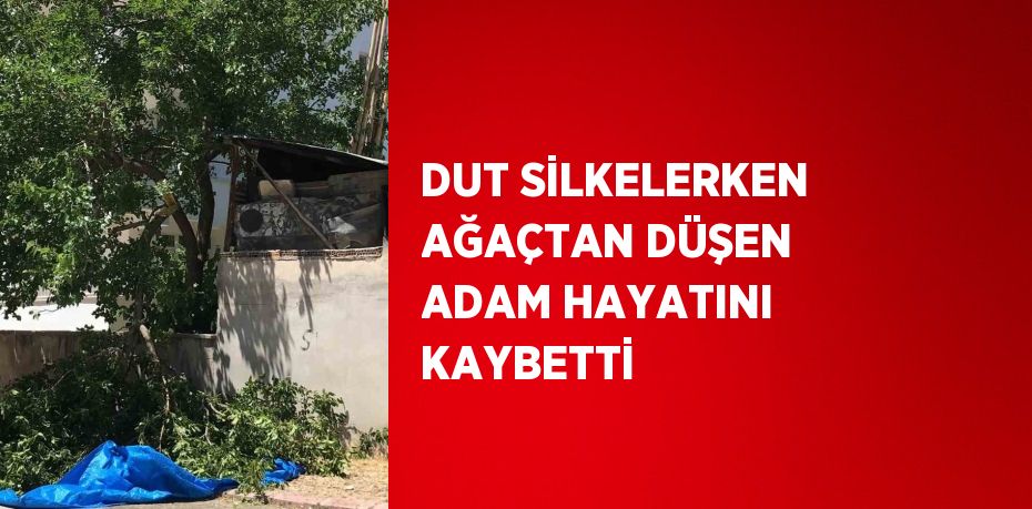 DUT SİLKELERKEN AĞAÇTAN DÜŞEN ADAM HAYATINI KAYBETTİ