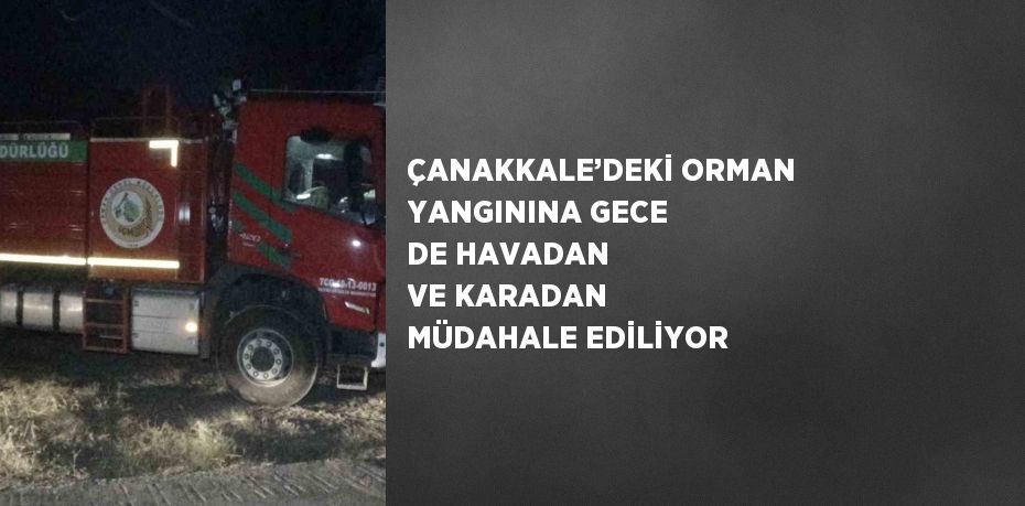 ÇANAKKALE’DEKİ ORMAN YANGININA GECE DE HAVADAN VE KARADAN MÜDAHALE EDİLİYOR