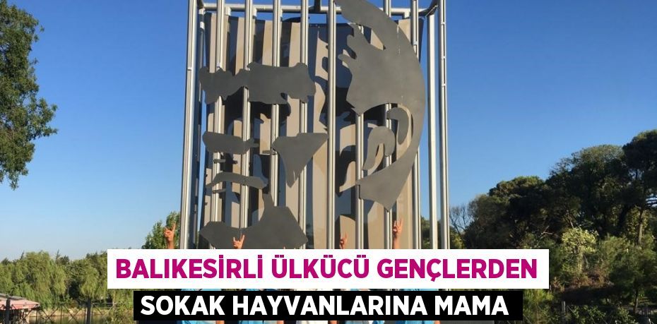 BALIKESİRLİ ÜLKÜCÜ GENÇLERDEN SOKAK HAYVANLARINA MAMA