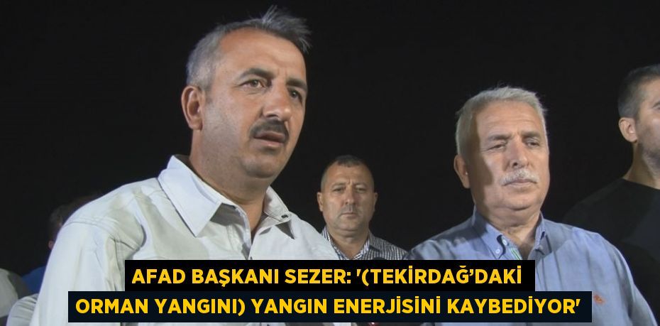 AFAD BAŞKANI SEZER: '(TEKİRDAĞ’DAKİ ORMAN YANGINI) YANGIN ENERJİSİNİ KAYBEDİYOR'