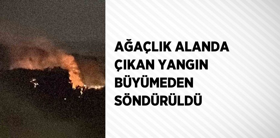 AĞAÇLIK ALANDA ÇIKAN YANGIN BÜYÜMEDEN SÖNDÜRÜLDÜ