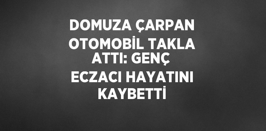 DOMUZA ÇARPAN OTOMOBİL TAKLA ATTI: GENÇ ECZACI HAYATINI KAYBETTİ