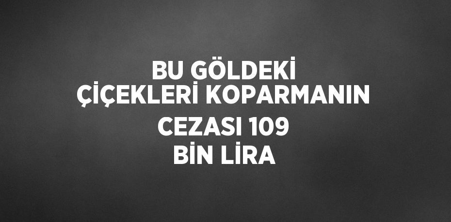 BU GÖLDEKİ ÇİÇEKLERİ KOPARMANIN CEZASI 109 BİN LİRA