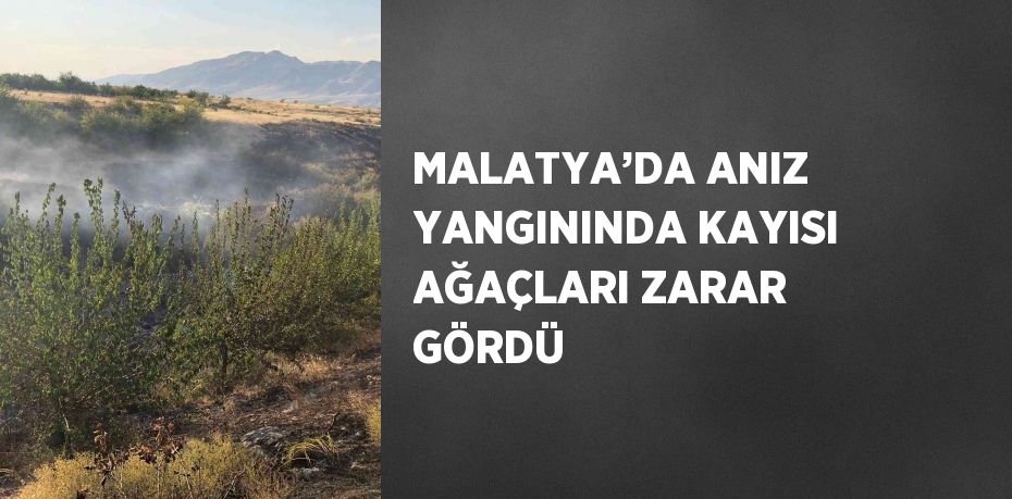 MALATYA’DA ANIZ YANGININDA KAYISI AĞAÇLARI ZARAR GÖRDÜ