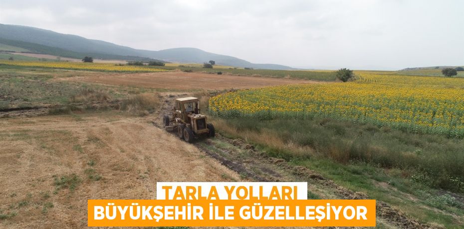 Tarla yolları Büyükşehir ile güzelleşiyor