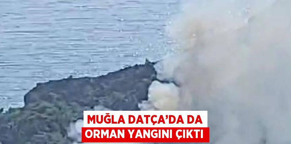 MUĞLA DATÇA’DA DA ORMAN YANGINI ÇIKTI