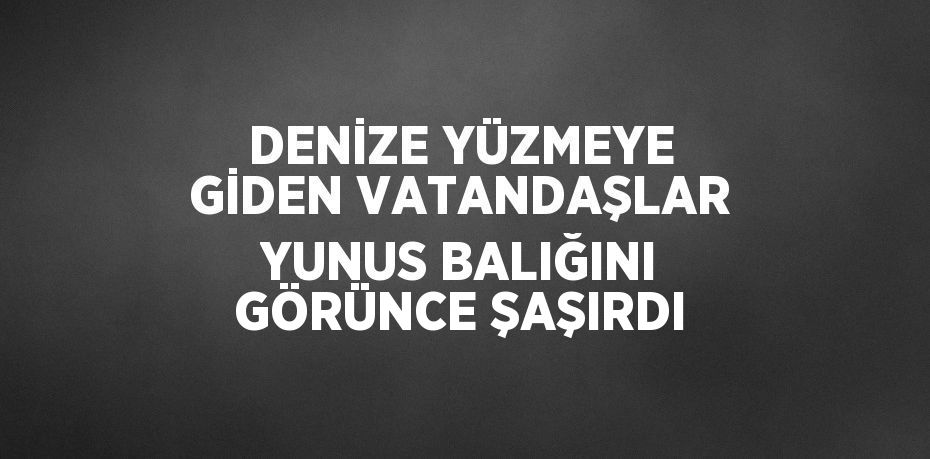 DENİZE YÜZMEYE GİDEN VATANDAŞLAR YUNUS BALIĞINI GÖRÜNCE ŞAŞIRDI