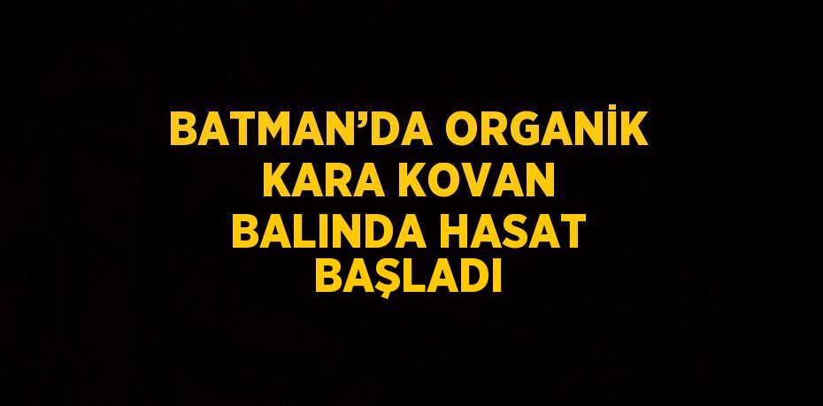 BATMAN’DA ORGANİK KARA KOVAN BALINDA HASAT BAŞLADI