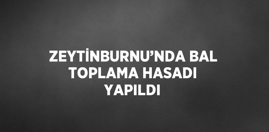 ZEYTİNBURNU’NDA BAL TOPLAMA HASADI YAPILDI