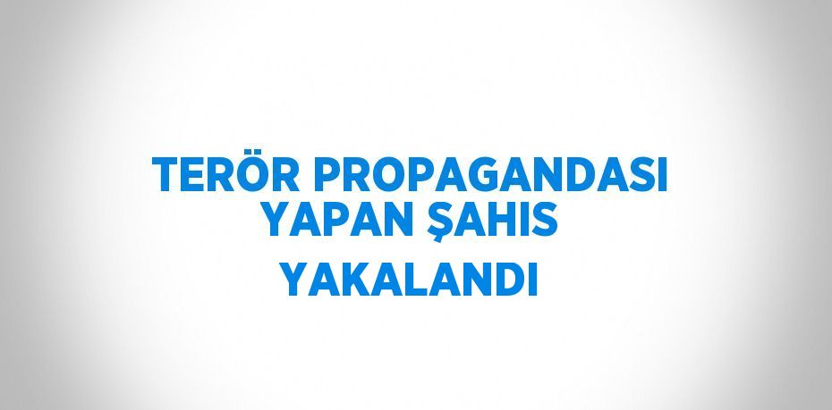 TERÖR PROPAGANDASI YAPAN ŞAHIS YAKALANDI