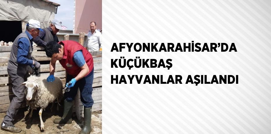 AFYONKARAHİSAR’DA KÜÇÜKBAŞ HAYVANLAR AŞILANDI