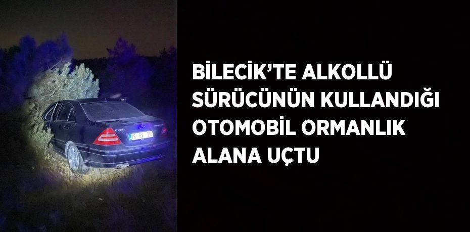 BİLECİK’TE ALKOLLÜ SÜRÜCÜNÜN KULLANDIĞI OTOMOBİL ORMANLIK ALANA UÇTU