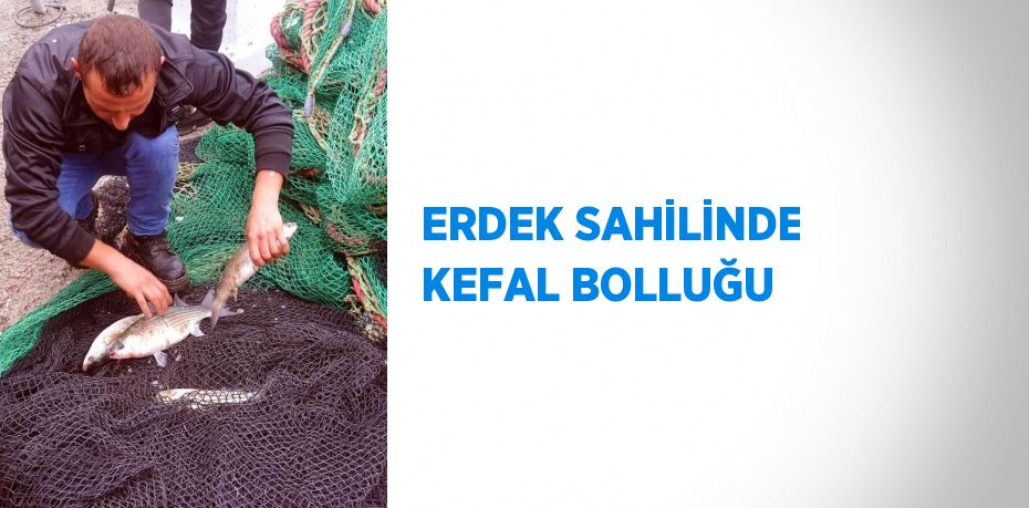 ERDEK SAHİLİNDE KEFAL BOLLUĞU