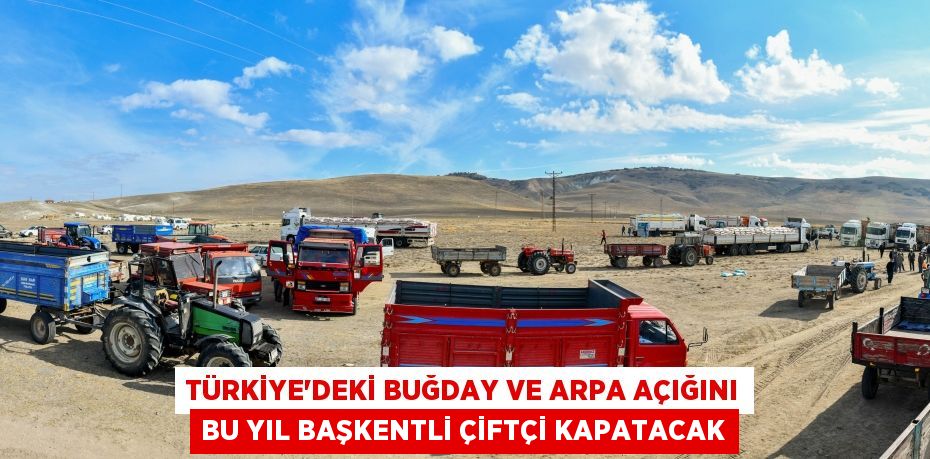 Türkiye’deki buğday ve arpa açığını bu yıl başkentli çiftçi kapatacak